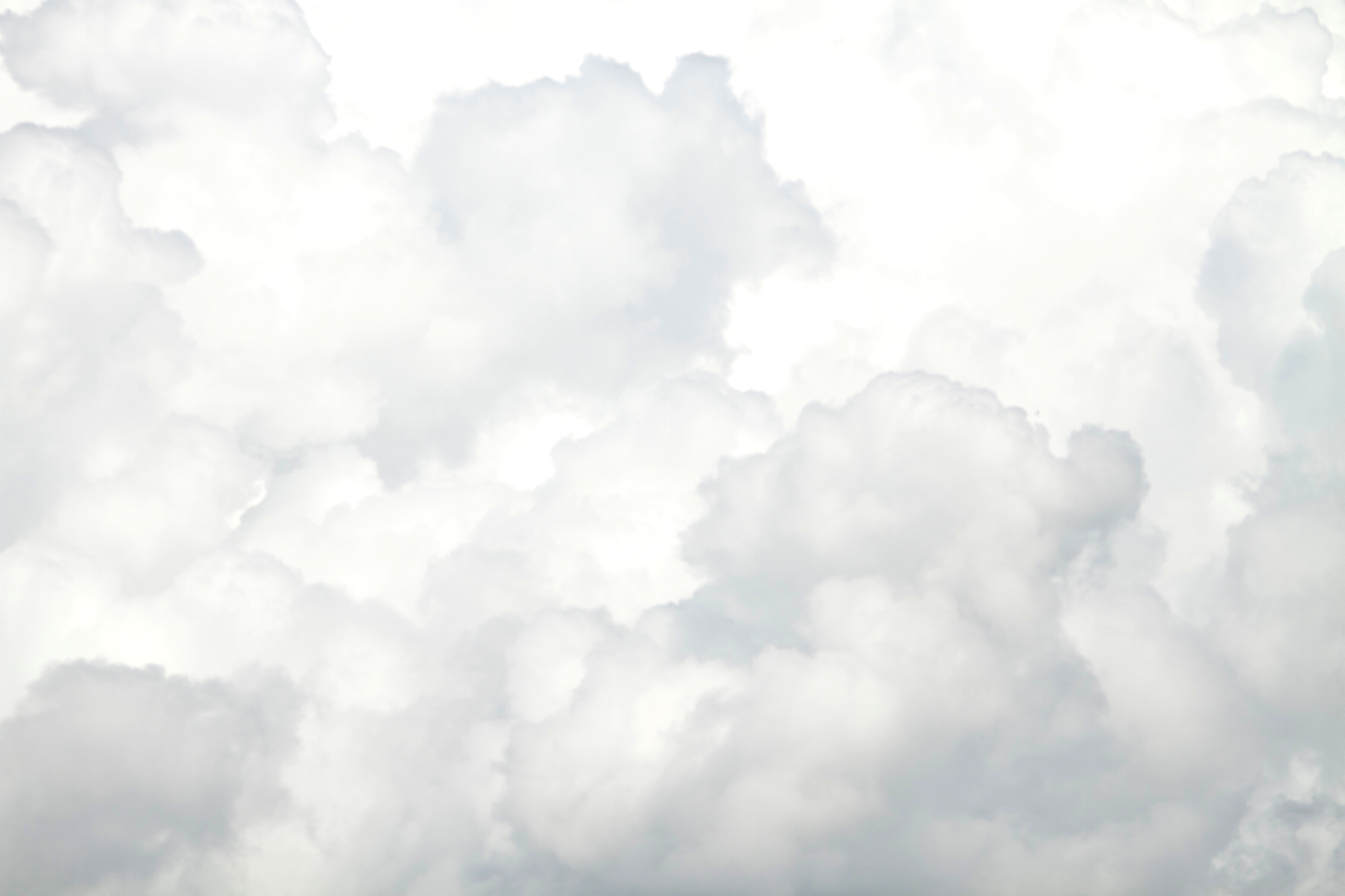 White Clouds